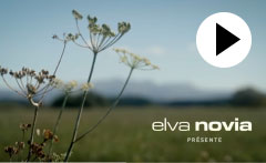 <h4>Elva Novia</h4><h5>Vidéo de promotion équipes</h5>
